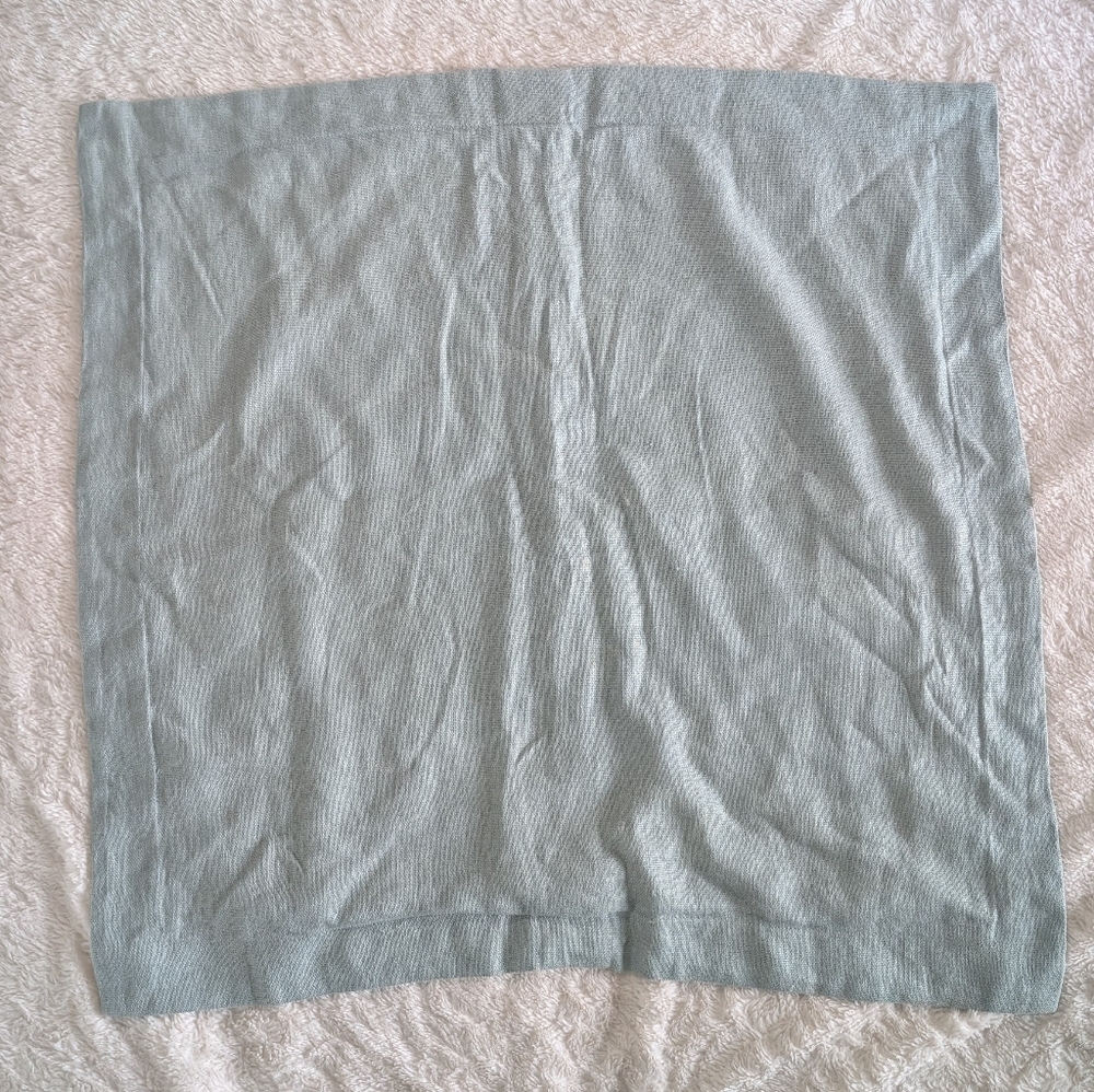 Pottery Barn Euro Linen Shams